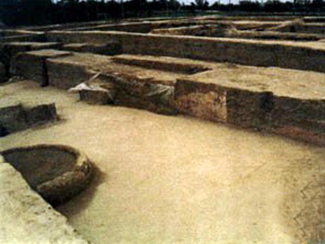 ����������ַ