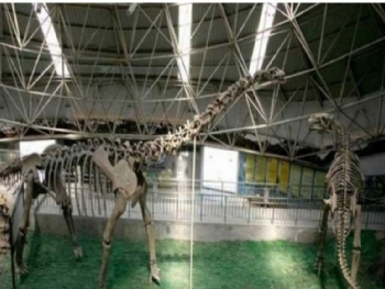 ��������Ͽ�������ҵ��ʹ�԰