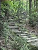 ������´ɽ