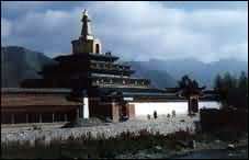 ���Ϲ��Ʊ���