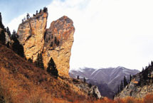 ���ϴ�����