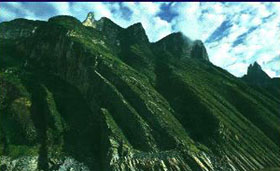 ������Ů��