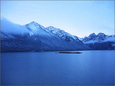 �����걣����