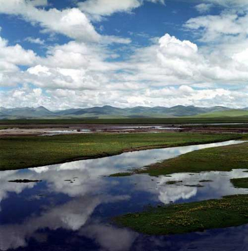 ����Ⱥ������̲