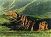 �������ؿ�������