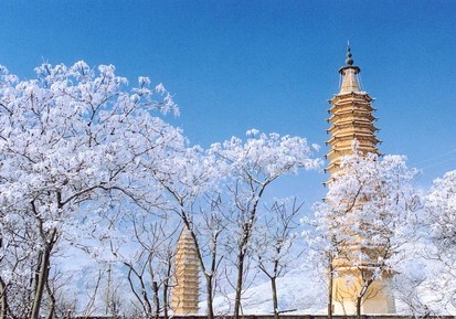 �������¿�˫��