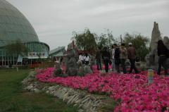 ���Ĵ����ɭ�ֹ�԰