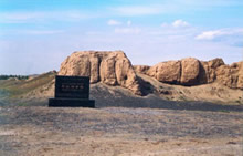 ��³ľ���������ų�