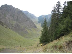 ��³ľ���ձ�ɽ