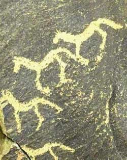 ����������ɽ�һ�