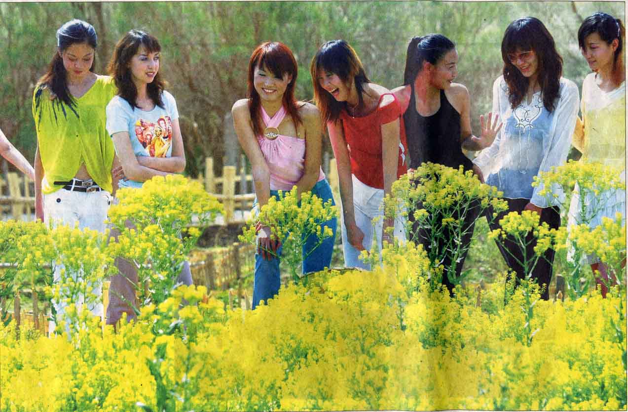 ��³��ɳĮ��̬���η羰��