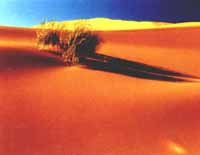 ������ɳɽ