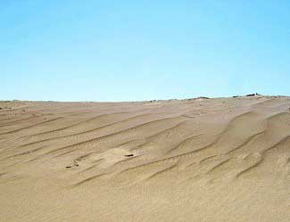 �����Ŷ���ͨ����ɳĮ