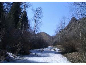 �������ܹ�