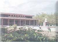 ���ݲ��������Ĺ��Ⱥ