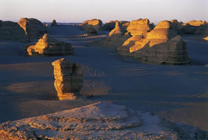 ������ŵ����