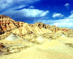 ��������ϣ�����ʳ�