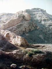 ��������ַ