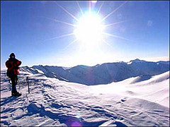 ����ľ��������