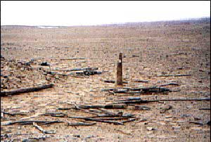 ����ɽ������ĹȺ