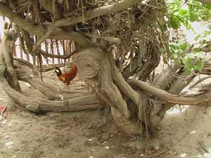 ������������