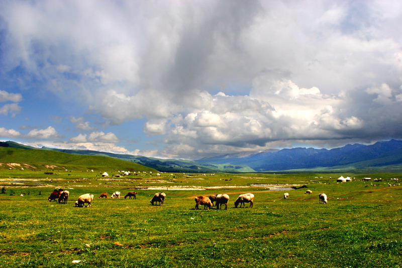 ���繮��˹���ԭ