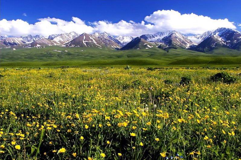 ���Ǻ�����