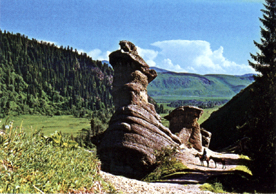 �Ʋ����羰��