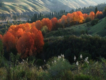 ��������羰��