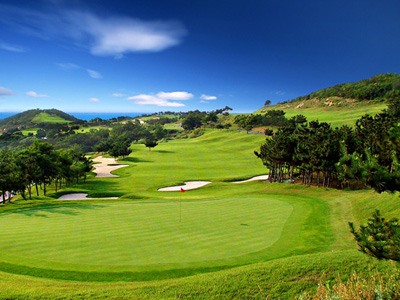 �����߶�����