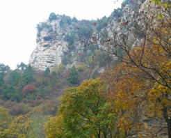 ̨������