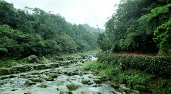 ̨���һ�Դ������