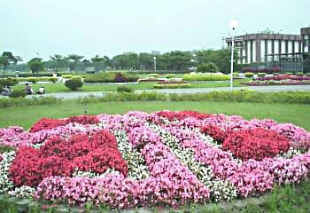 ������԰