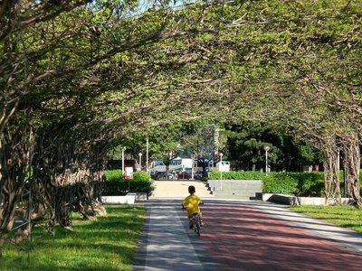 ̨�����ǹ�԰