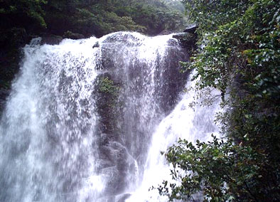 ����Բɭ������԰