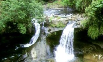 �۾�������