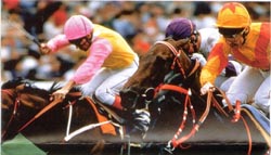 ������������