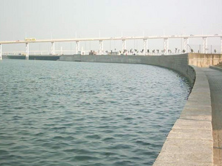 �����˹���