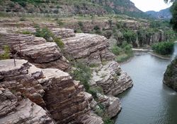 ������˿̶