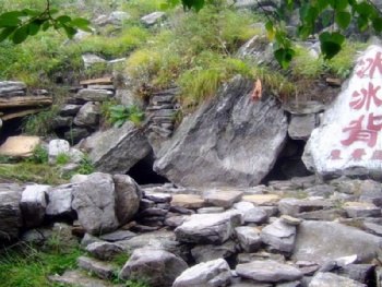 ���ݱ�����