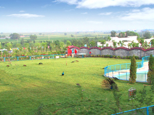 �ױ����˿��ִ�