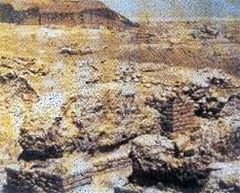 ������ׯ��ַ