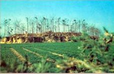 ������¹̨