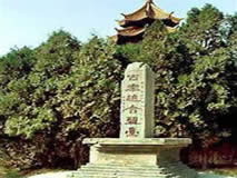 ����Ͽ���Ի���̨