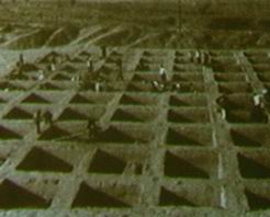 ����Ͽ���׹���ַ