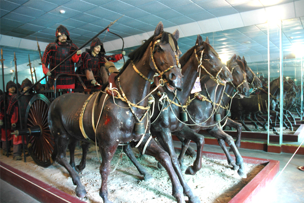 ����Ͽ뽹������