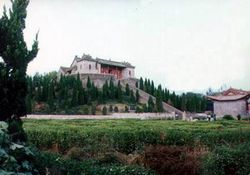 �����ղ�̨