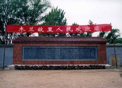 ����ľ����