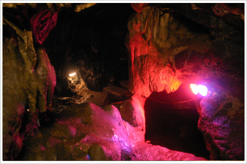 �����ƻ�����