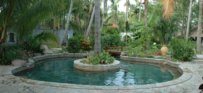 �ú�����Ȫ